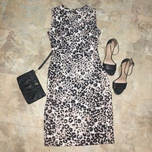 Calvin Klein Leopard Print Sheath Dress